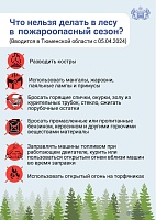 В Тюменской области с 5 апреля вводится противопожарный режим: что запрещено