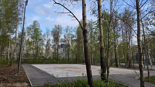 В Комарово парке появится площадка для падл-тенниса