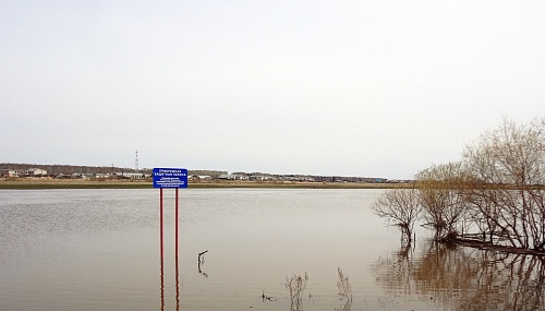 Тюменский стандарт: опыт региона по выплатам пострадавшим от паводка внедрят по всей России