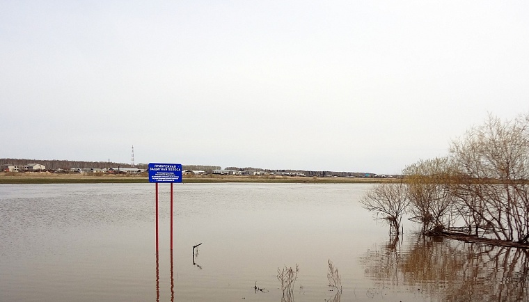 Тюменский стандарт: опыт региона по выплатам пострадавшим от паводка внедрят по всей России