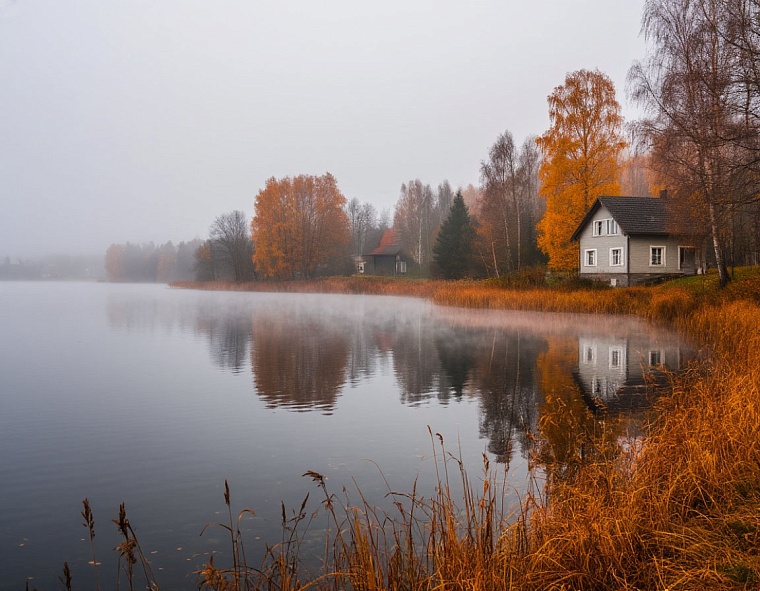 Народные приметы на 28 октября: все живое готовится к приходу зимы