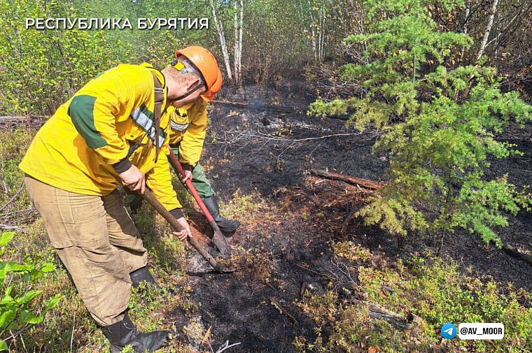 Александр Моор: Десантники-пожарные Тюменской авиабазы помогли ликвидировать 16 лесных пожаров в Бурятии