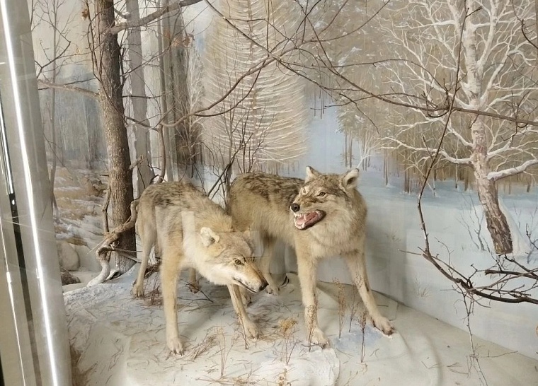 Моя Уфа: исчезнувший Салават, горы грязного снега и добрые люди