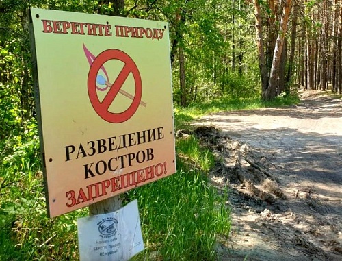 Александр Моор заявил об отмене в Тюменской области особого противопожарного режима