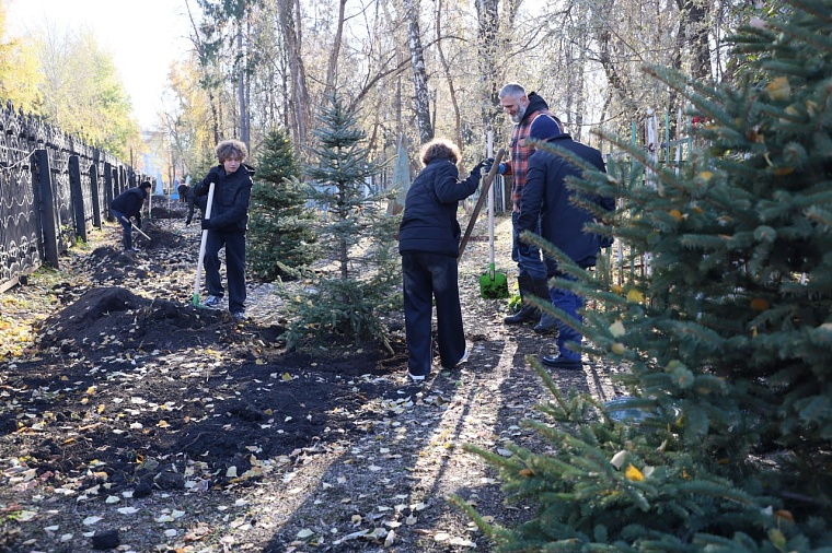 На Текутьевском кладбище в Тюмени высадили аллею в Год героев