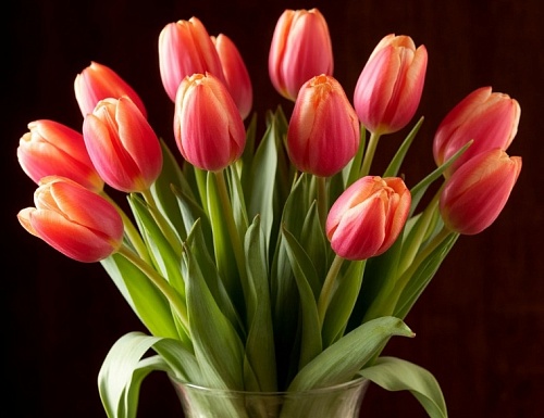 Сахар, уксус, аспирин: простые способы сохранить свежим праздничный букет