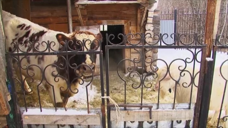 Монастыринг: в Тюменской области развивается новый тренд