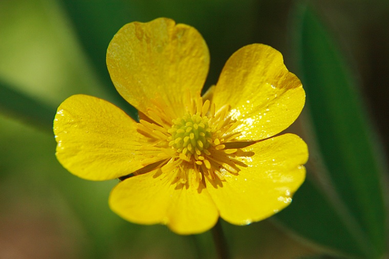 Народные приметы на 31 марта: на Кирилла и спереди, и сзади - зима