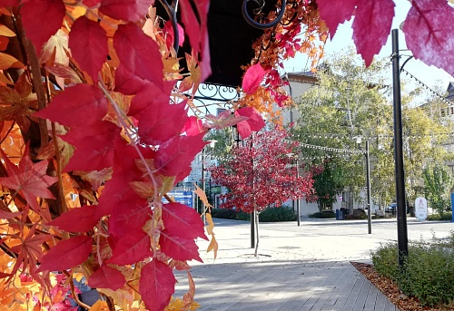 В Тюмени в выходные будет холодно, но солнечно