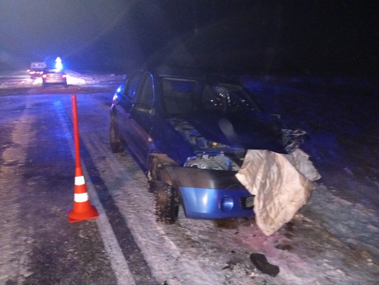 Трое взрослых и трехлетний ребенок получили травмы в ДТП под Ишимом