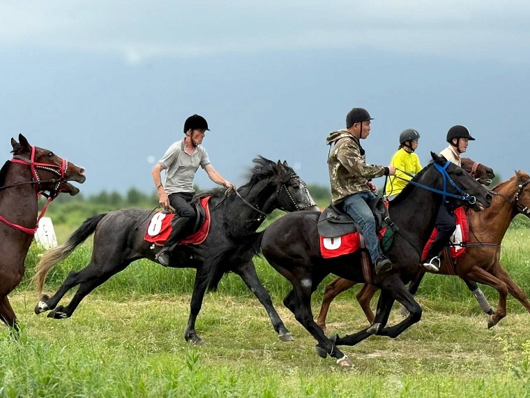 Тоболяки отмечают народный праздник Сабантуй