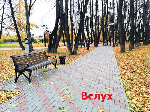 Тюменцы контролируют состояние городских скверов и парков