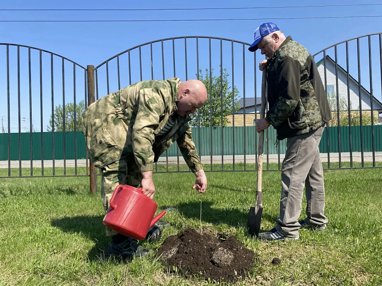 В Сорокинском округе высадили яблоневую аллею в благодарность бойцам СВО