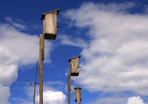 Народные приметы на 3 апреля: Катаник санки унес