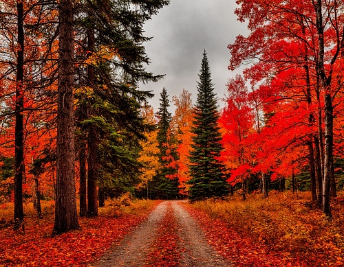 Народные приметы на 3 октября: направление ветра укажет погоду