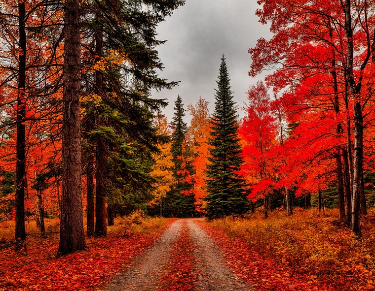 Народные приметы на 3 октября: направление ветра укажет погоду