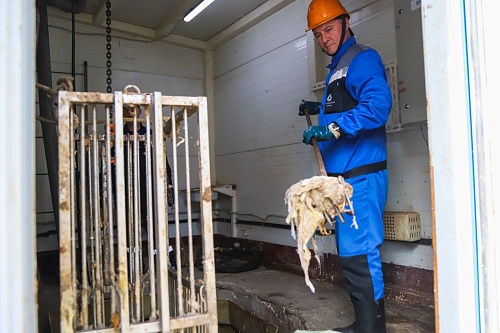 Водоканал: цветы забивают тюменскую канализацию после 8 марта