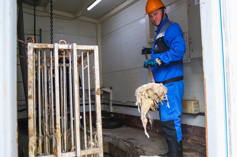 Водоканал: цветы забивают тюменскую канализацию после 8 марта