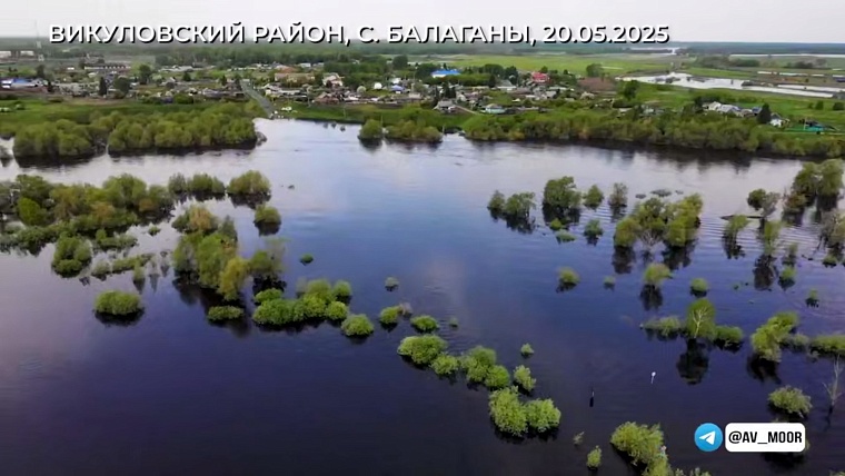 Александр Моор: Вводим режим ЧС регионального уровня в четырех населенных пунктах Викуловского района