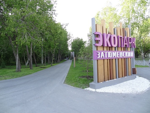 В Затюменском построят новый памп-трек и скейт-парк