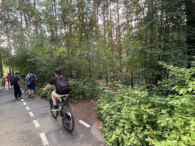 Новый городской пляж в Тюмени: схема, как проехать и что там есть