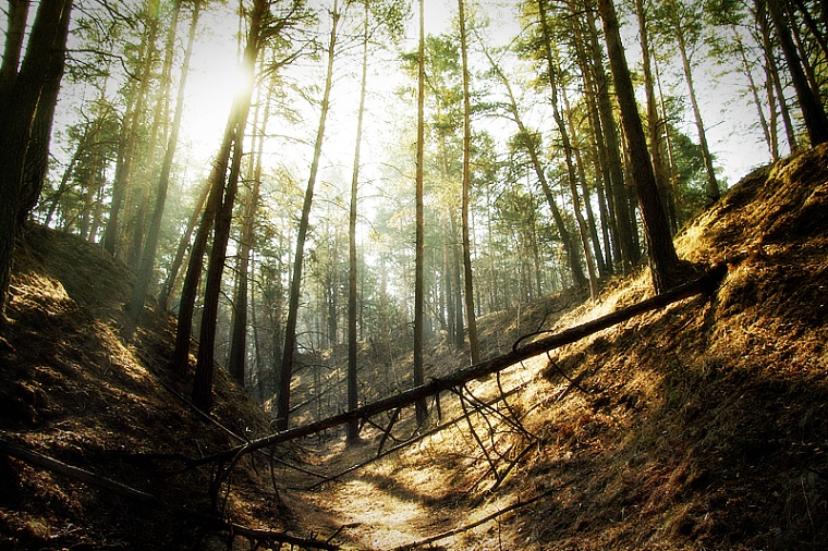 Народные приметы на 6 мая: тепло пришло - к скорому лету