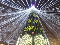 Стало известно, когда откроют главную новогоднюю ёлку в Тюмени