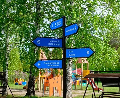 Тюменские врачи помогли тройняшкам с тяжелыми диагнозами подготовиться к школе