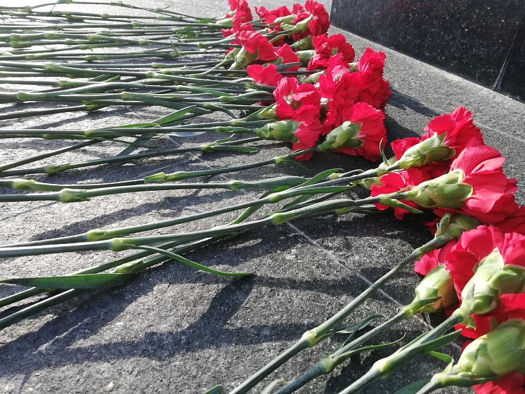 Перед 9 Мая в Новосибирск завезли около 500 тысяч гвоздик из Китая, Таиланда и Литвы