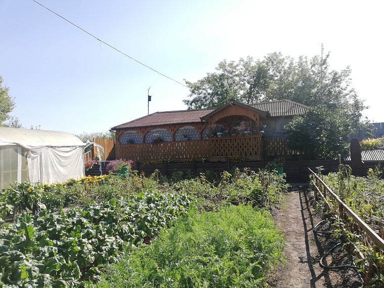Когда тюменским дачникам снимать урожай с открытого грунта: советы «Россельхозцентра»