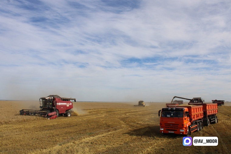 Александр Моор поздравил тюменских аграриев с завершением уборочной кампании