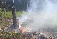 Виновника лесного пожара в Голышманово нашли по горячим следам