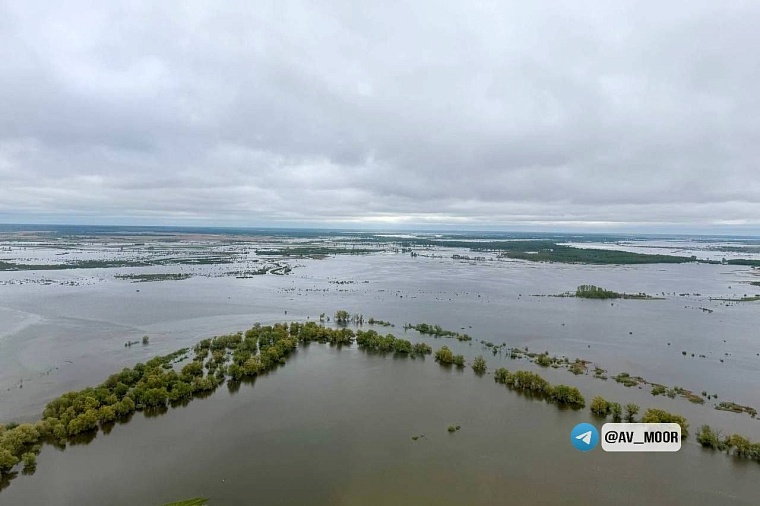 Александр Моор: За последние сутки вода в Викулово поднялась на 36 сантиметров
