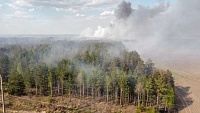 В Югре возгорания в лесах выявляют с помощью нейросетей