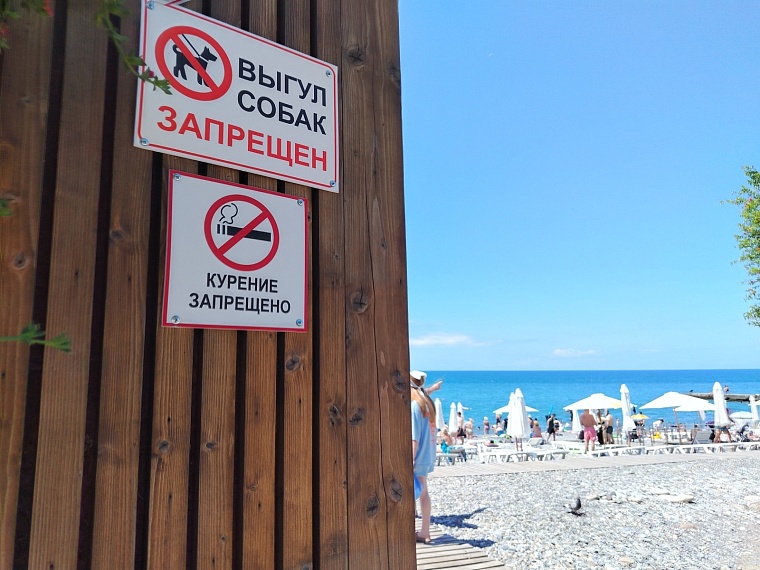 В аэропорту долго? А купаться дают? Особенности отдыха в Сочи в 2026 году