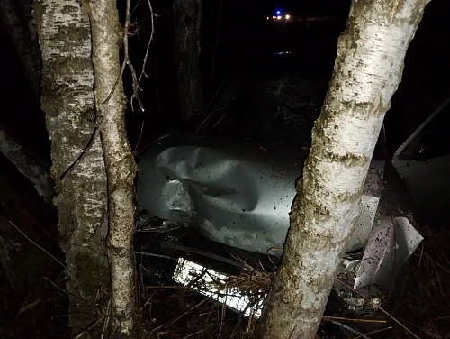 Смертельное ДТП под Тюменью: разыскивается водитель, скрывшийся с места аварии