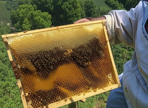 Народные приметы на 30 апреля: хорошее дело - отведать меда