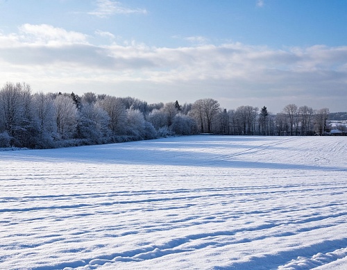 Народные приметы на 17 декабря: трещит Варюха - береги нос да ухо
