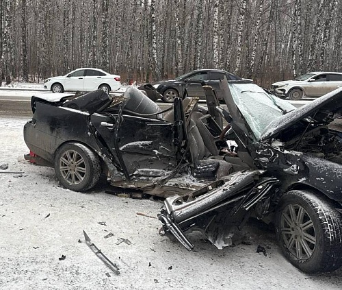 Инсталляцию из разбитых в ДТП машин соберут в Новосибирске