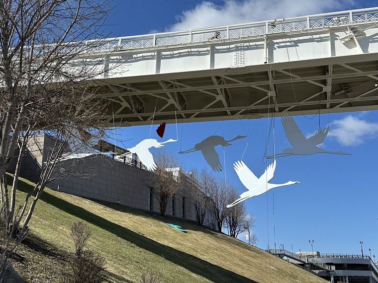 Под мостом Влюбленных в Тюмени появятся 60 журавлей