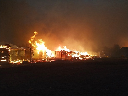 Владельцам сгоревших дачных домов в Тобольском районе выплатят компенсации