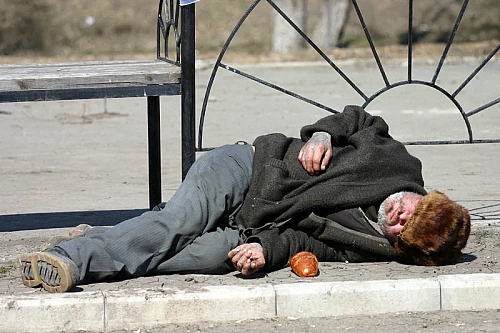 Тюменские бездомные проходят реабилитацию в деревне по программе «12 шагов»