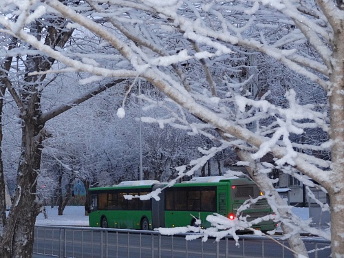 Тюменцев предупреждают о возможных задержках автобусов из-за снегопада