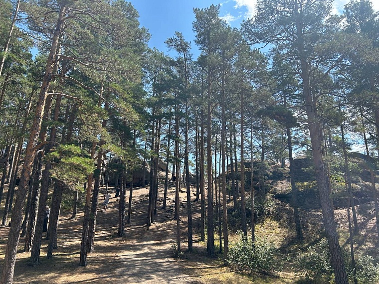 Поездка в Казахстан: низкие цены, дешевый сервис, красивая природа и стремительный банкинг